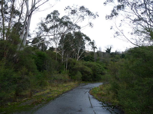 Race track at the Gully, Katoomba